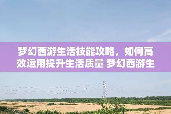 梦幻西游生活技能攻略，如何高效运用提升生活质量 梦幻西游生活技能