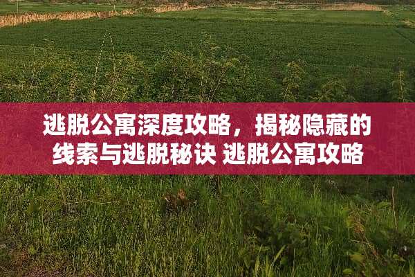 逃脱公寓深度攻略，揭秘隐藏的线索与逃脱秘诀 逃脱公寓攻略