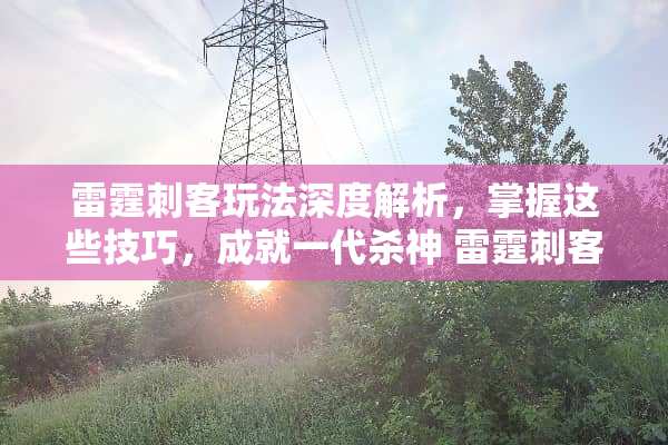 **刺客玩法深度解析，掌握这些技巧，成就一代杀神 **刺客玩法