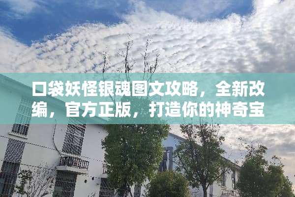 口袋妖怪银魂图文攻略，全新改编，官方正版，打造你的神奇宝贝征程 口袋妖怪银魂图文攻略