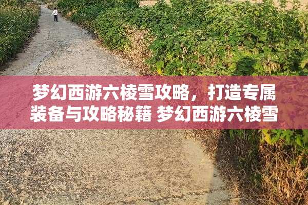 梦幻西游六棱雪攻略，打造专属装备与攻略秘籍 梦幻西游六棱雪攻略
