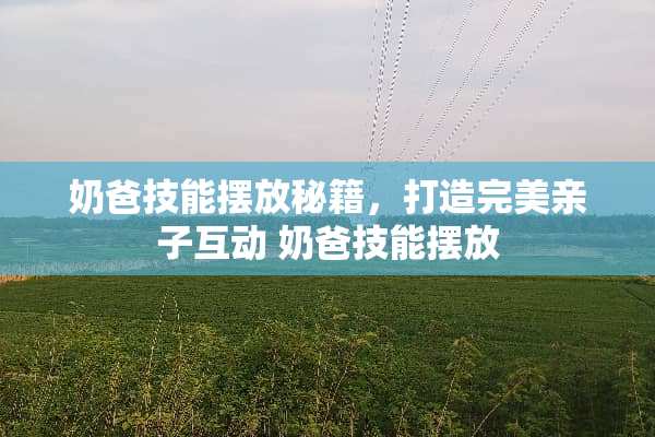 奶爸技能摆放秘籍，打造完美亲子互动 奶爸技能摆放