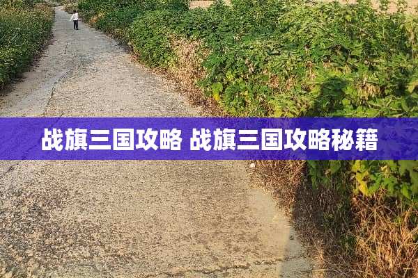 战旗三国攻略 战旗三国攻略秘籍