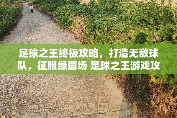 **之王终极攻略，打造无敌球队，征服绿茵场 **之王游戏攻略