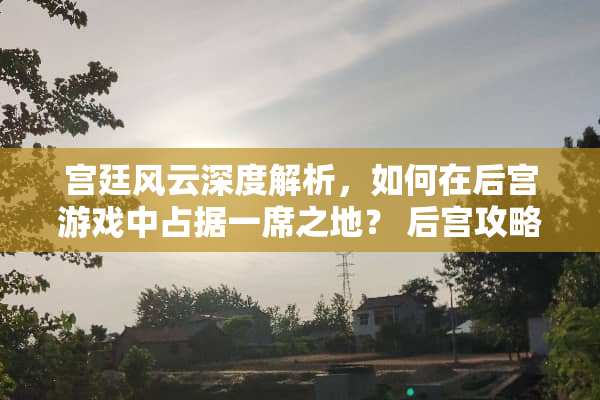 宫廷风云深度解析，如何在后宫游戏中占据一席之地？ 后宫攻略宫廷游戏下载