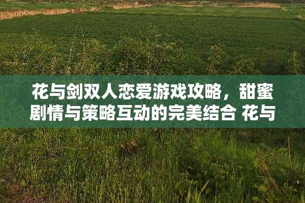 花与剑双人恋爱游戏攻略，甜蜜剧情与策略互动的完美结合 花与剑双人恋爱游戏攻略