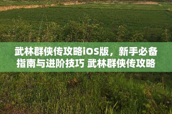 武林群侠传攻略iOS版，新手必备指南与进阶技巧 武林群侠传攻略ios