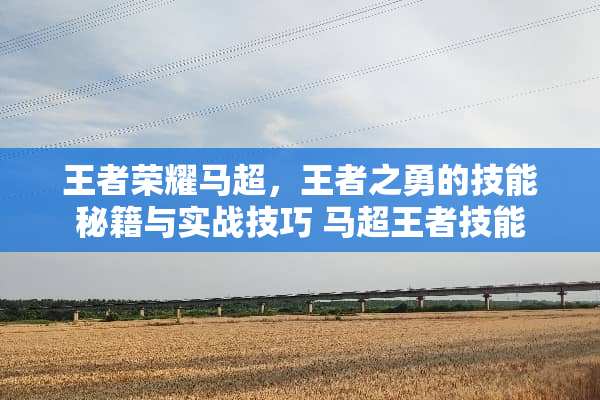 王者荣耀马超，王者之勇的技能秘籍与实战技巧 马超王者技能