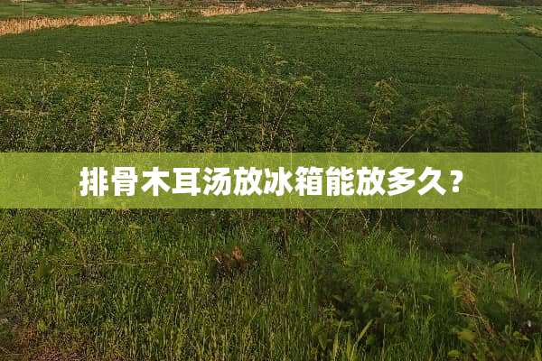 排骨木耳汤放冰箱能放多久？