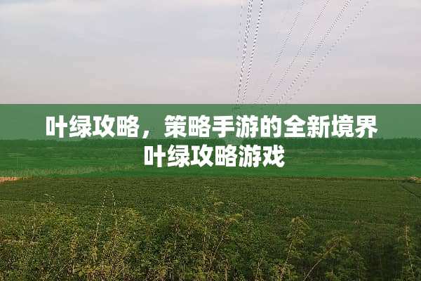 叶绿攻略，策略手游的全新境界 叶绿攻略游戏