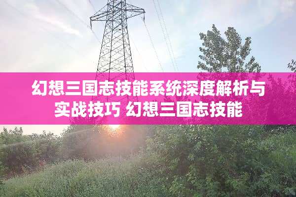 幻想三国志技能系统深度解析与实战技巧 幻想三国志技能