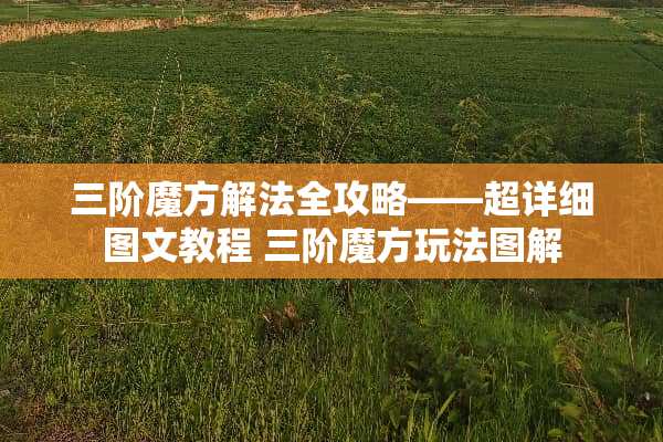 三阶魔方解法全攻略——超详细图文教程 三阶魔方玩法图解
