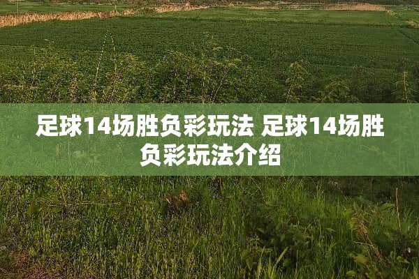 **14场胜负彩玩法 **14场胜负彩玩法介绍