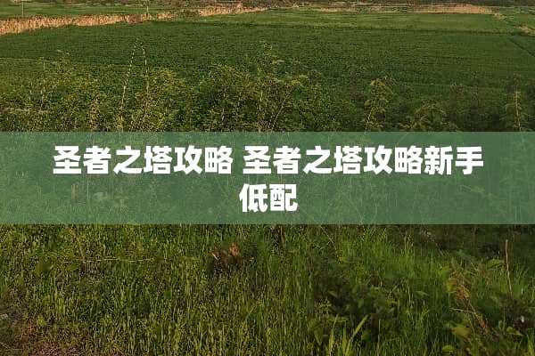 圣者之塔攻略 圣者之塔攻略新手低配