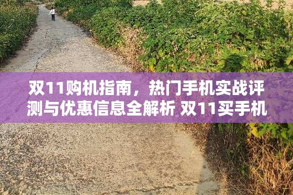 双11购机指南，热门手机实战评测与优惠信息全解析 双11买手机攻略