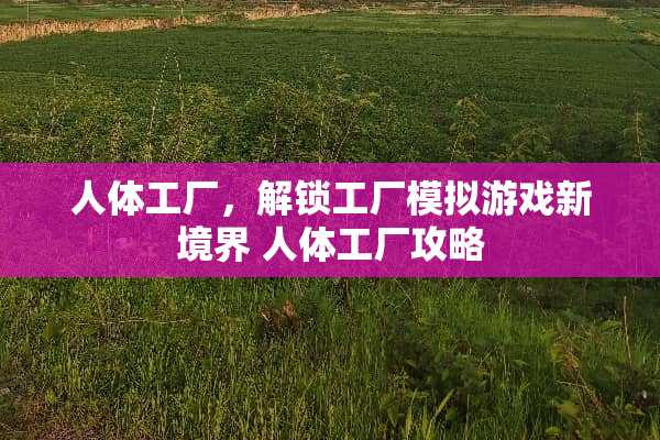 人体工厂，解锁工厂模拟游戏新境界 人体工厂攻略