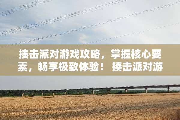 揍击派对游戏攻略，掌握核心要素，畅享极致体验！ 揍击派对游戏攻略