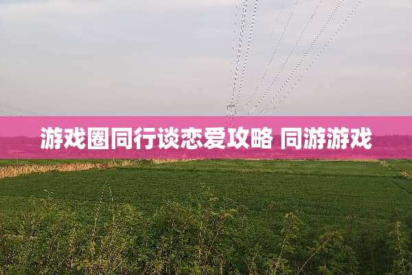 游戏圈同行谈恋爱攻略 同游游戏