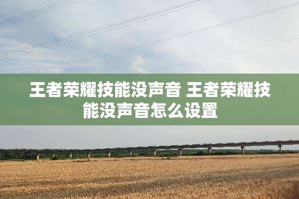 王者荣耀技能没声音 王者荣耀技能没声音怎么设置