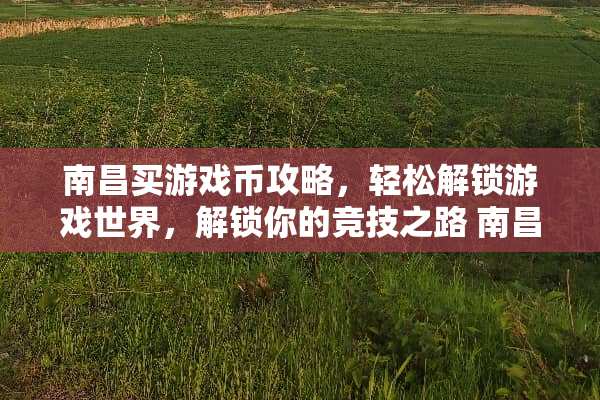 南昌买游戏币攻略，轻松解锁游戏世界，解锁你的竞技之路 南昌买游戏币攻略