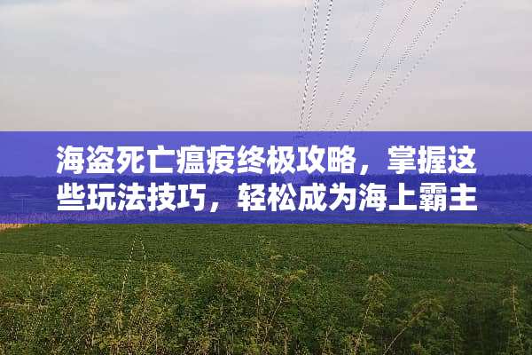 海盗死亡瘟疫终极攻略，掌握这些玩法技巧，轻松成为海上霸主！ 海盗死亡瘟疫攻略