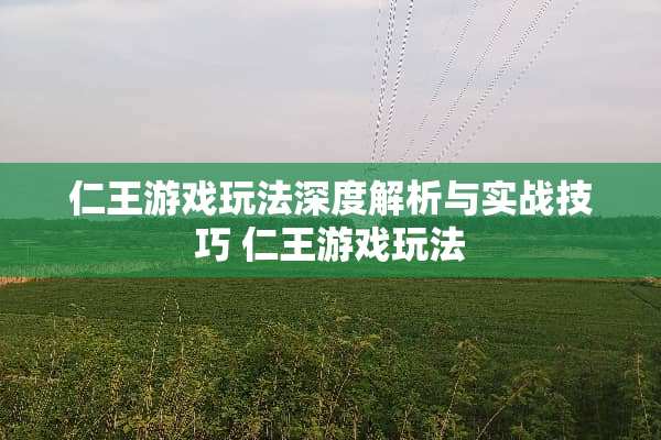 仁王游戏玩法深度解析与实战技巧 仁王游戏玩法