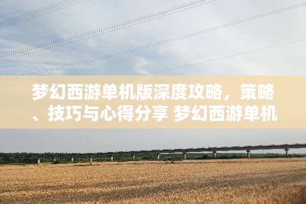 梦幻西游单机版深度攻略，策略、技巧与心得分享 梦幻西游单机版攻略