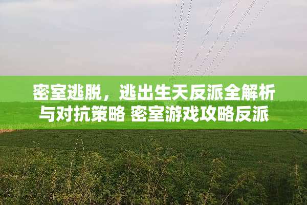 密室逃脱，逃出生天反派全解析与对抗策略 密室游戏攻略反派