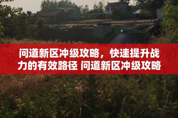 问道新区冲级攻略，快速提升战力的有效路径 问道新区冲级攻略