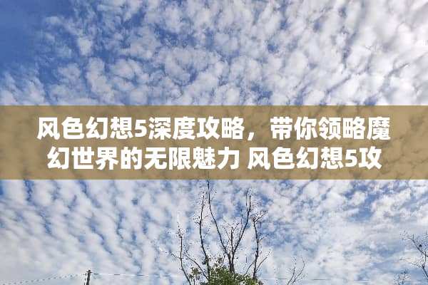 风色幻想5深度攻略，带你领略魔幻世界的无限魅力 风色幻想5攻略