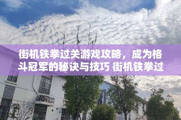 街机铁拳过关游戏攻略，成为格斗冠军的秘诀与技巧 街机铁拳过关游戏攻略