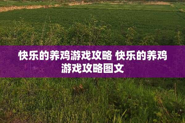 快乐的养鸡游戏攻略 快乐的养鸡游戏攻略图文