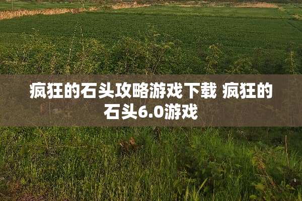 疯狂的石头攻略游戏下载 疯狂的石头6.0游戏