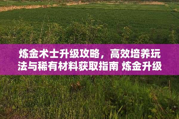 炼金术士升级攻略，高效培养玩法与稀有材料获取指南 炼金升级攻略