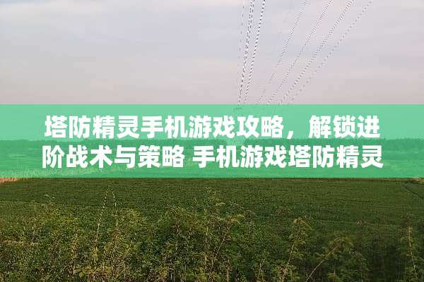 塔防精灵手机游戏攻略，解锁进阶战术与策略 手机游戏塔防精灵攻略