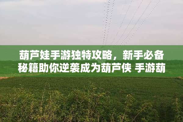 葫芦娃手游独特攻略，新手必备秘籍助你逆袭成为葫芦侠 手游葫芦娃攻略