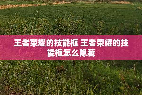 王者荣耀的技能框 王者荣耀的技能框怎么隐藏