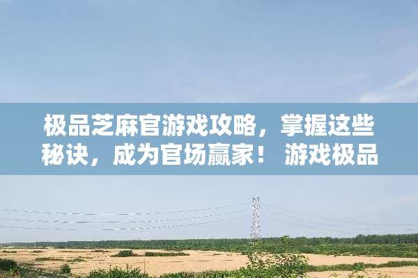 极品芝麻官游戏攻略，掌握这些秘诀，成为****！ 游戏极品芝麻官攻略