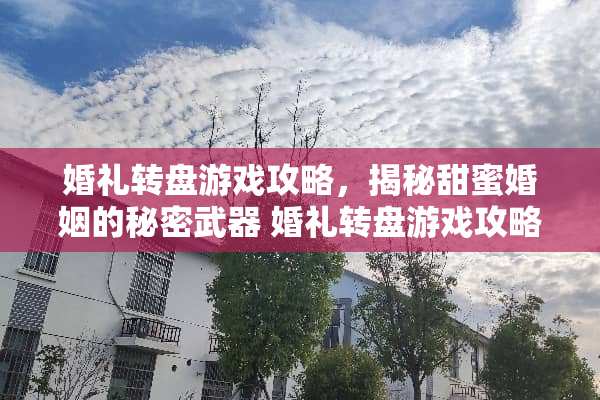 婚礼转盘游戏攻略，揭秘甜蜜婚姻的秘密** 婚礼转盘游戏攻略