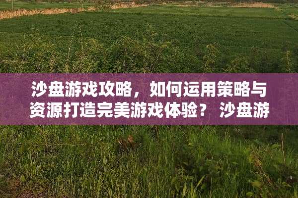沙盘游戏攻略，如何运用策略与资源打造完美游戏体验？ 沙盘游戏攻略