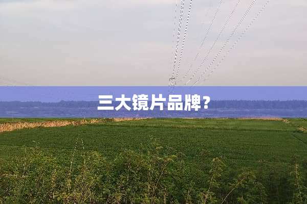 三大镜片品牌？