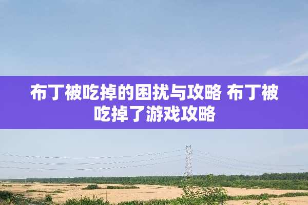 布丁被吃掉的困扰与攻略 布丁被吃掉了游戏攻略