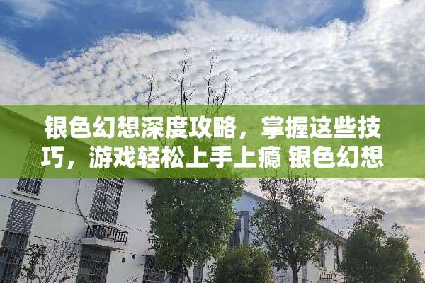 银色幻想深度攻略，掌握这些技巧，游戏轻松上手上瘾 银色幻想攻略