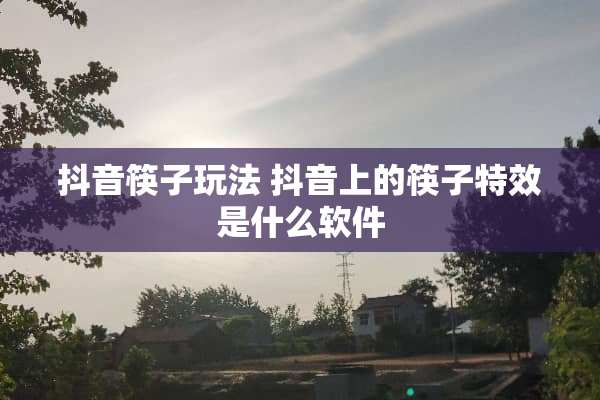 抖音筷子玩法 抖音上的筷子特效是什么软件