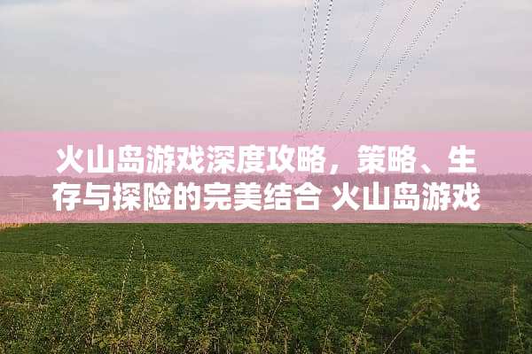 火山岛游戏深度攻略，策略、生存与探险的完美结合 火山岛游戏攻略
