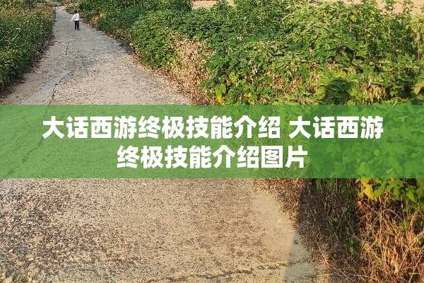 大话西游终极技能介绍 大话西游终极技能介绍图片