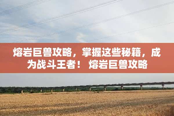 熔岩巨兽攻略，掌握这些秘籍，成为战斗王者！ 熔岩巨兽攻略