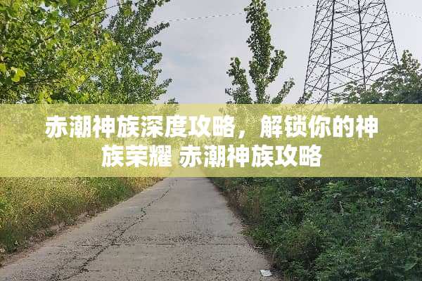 赤潮神族深度攻略，解锁你的神族荣耀 赤潮神族攻略