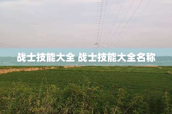 战士技能大全 战士技能大全名称