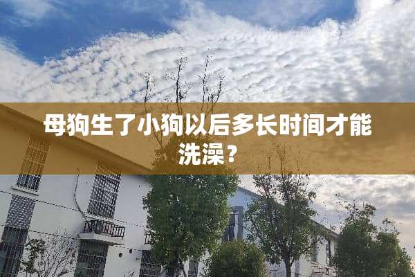 母狗生了小狗以后多长时间才能洗澡？